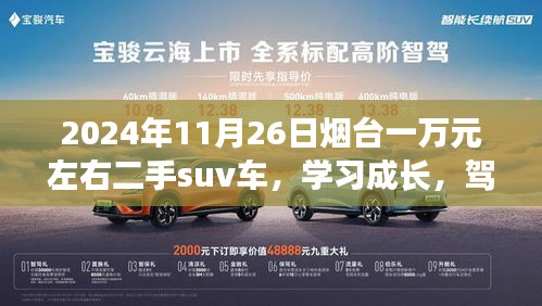 第2699页