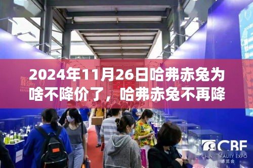 联系我们 第252页