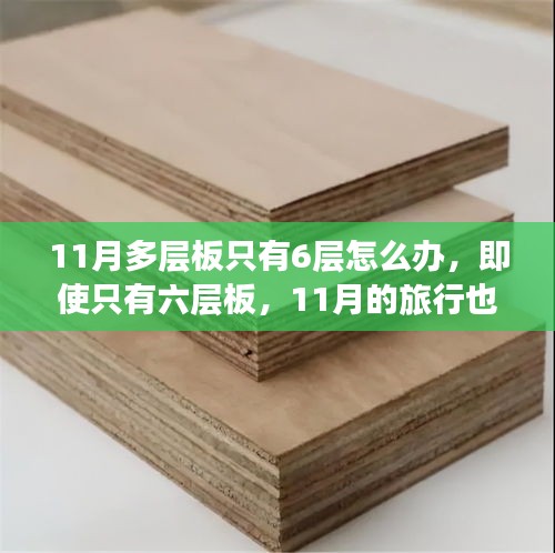 新闻中心 第320页