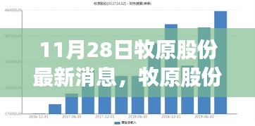 牧原股份最新动态深度解析，11月28日焦点消息汇总