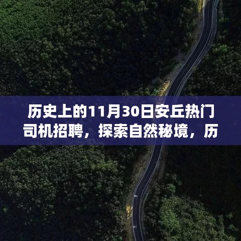 关于我们 第323页