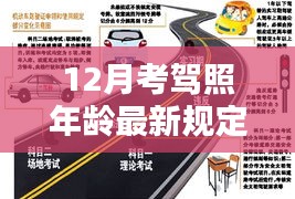 最新解析