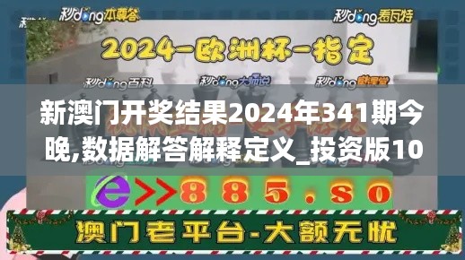 新澳门开奖结果2024年341期今晚,数据解答解释定义_投资版10.699