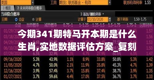 今期341期特马开本期是什么生肖,实地数据评估方案_复刻版6.366