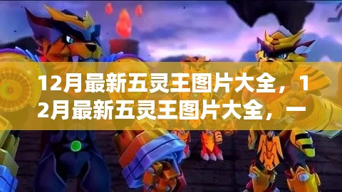一网打尽