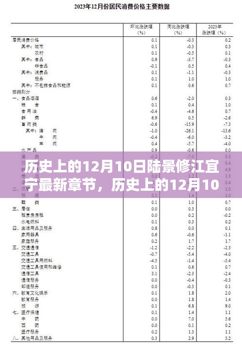 历史上的12月10日与陆景修江宜宁最新章节详解