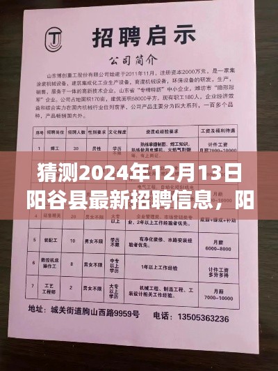 阳谷县最新招聘动态揭晓，职场奇遇背后的暖心故事（预测2024年12月13日）
