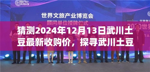 探寻武川土豆之旅，自然美景下的价格之谜与未来预测（最新收购价猜想）