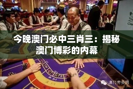 今晚澳门必中三肖三：揭秘澳门博彩的内幕