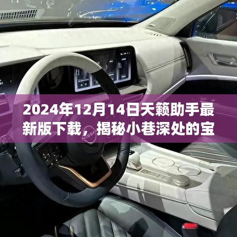 神秘宝藏之旅，特色小店与天籁助手最新版下载体验（2024年）