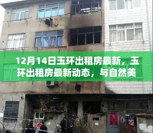 轻徙鸟举 第3页