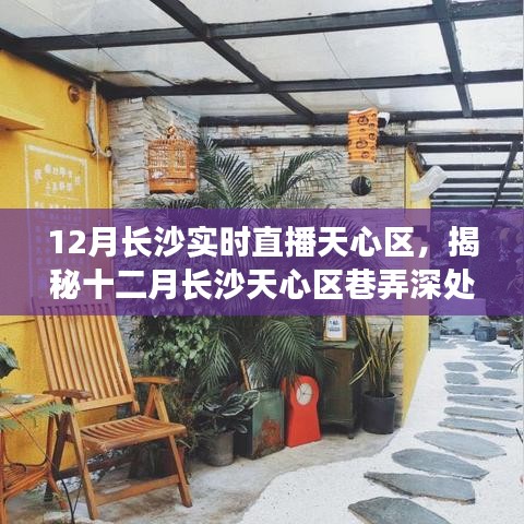 解决方案 第179页