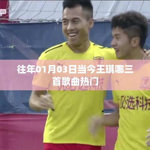 王琪热门歌曲TOP3，日期回顾