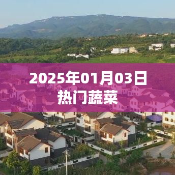 2025年元旦热门蔬菜榜单出炉