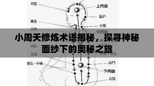 展翅高飞 第3页