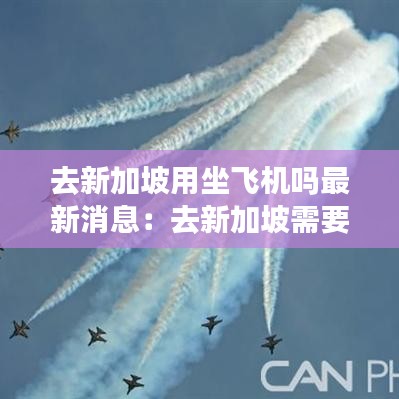 去新加坡用坐飞机吗最新消息：去新加坡需要哪些手续 