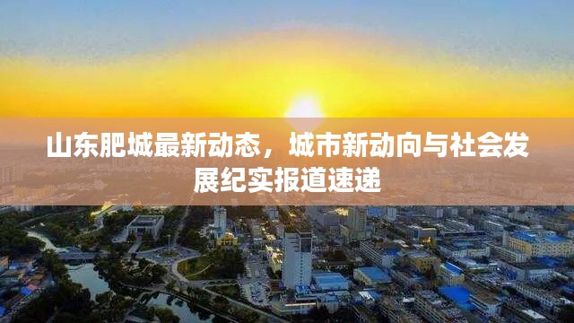 山东肥城最新动态，城市新动向与社会发展纪实报道速递
