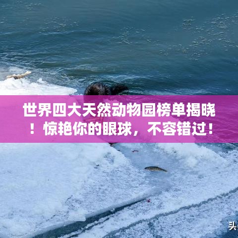 百不获一 第3页