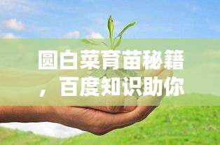 圆白菜育苗秘籍，百度知识助你轻松育苗！
