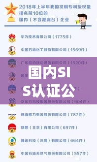 国内SIS认证公司排名揭晓，行业影响力与权威排名一览