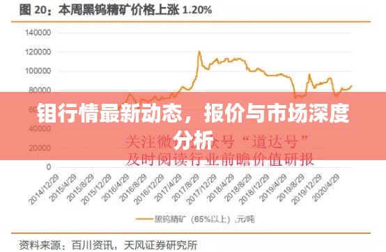 新闻中心 第81页