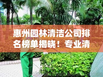 惠州园林清洁公司排名榜单揭晓！专业清洁公司推荐