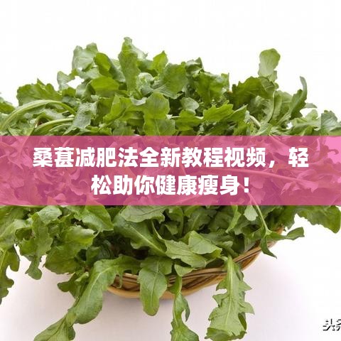 产品知识 第43页