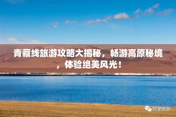关于我们 第34页