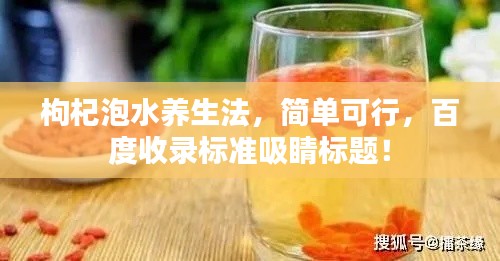 新闻中心 第26页