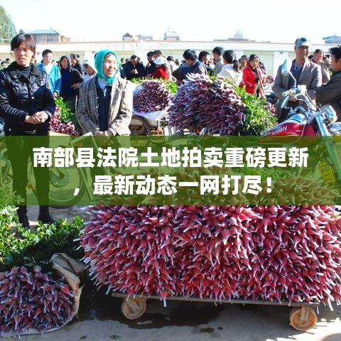 新闻中心 第16页
