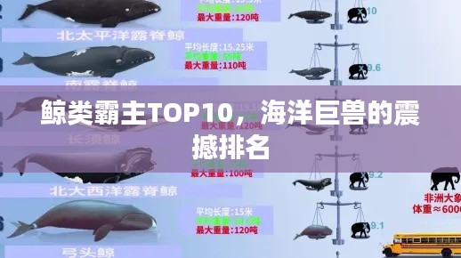 产品知识 第15页