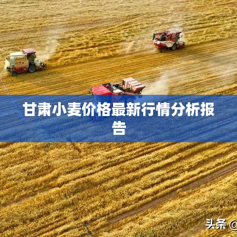品质保障 第8页