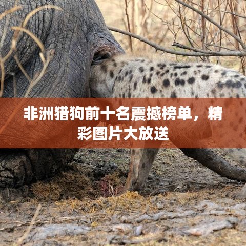 新闻中心 第9页
