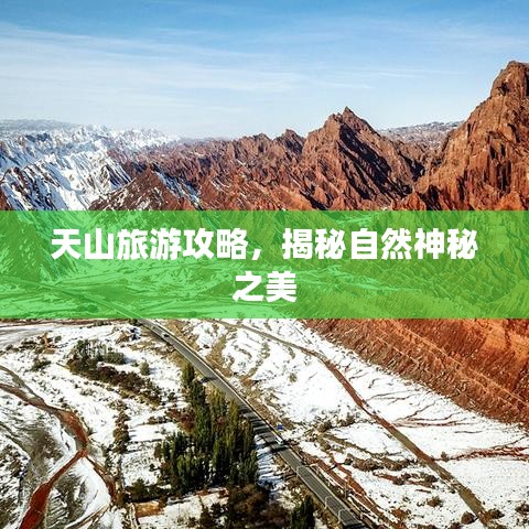 新闻中心 第8页