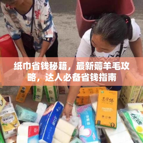 纸巾省钱秘籍，最新薅羊毛攻略，达人必备省钱指南