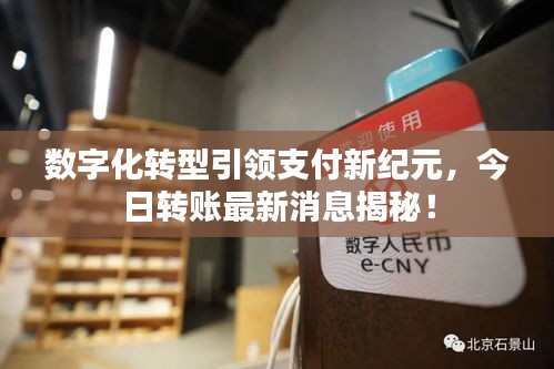 数字化转型引领支付新纪元，今日转账最新消息揭秘！