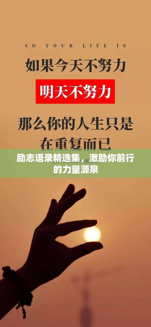 励志语录精选集，激励你前行的力量源泉