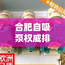 合肥自吸泵权威排行榜TOP10揭晓！
