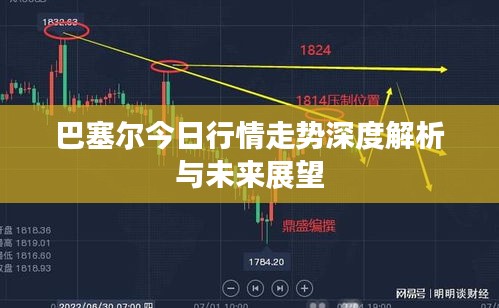巴塞尔今日行情走势深度解析与未来展望