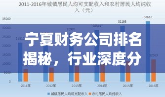宁夏财务公司排名揭秘，行业深度分析与趋势解读
