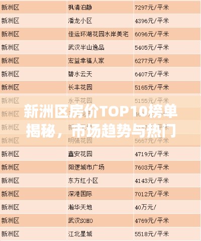 新洲区房价TOP10榜单揭秘，市场趋势与热门区域全解析