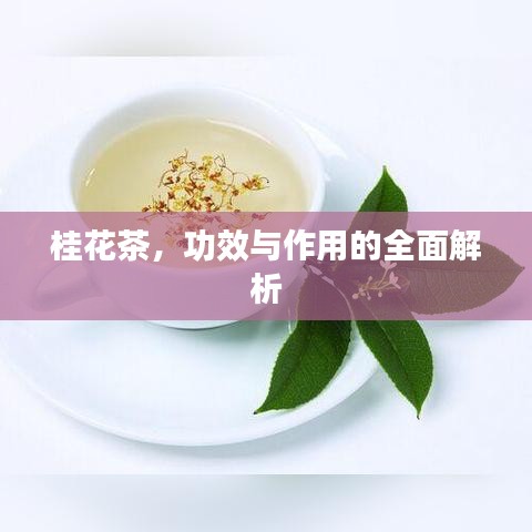 桂花茶，功效与作用的全面解析