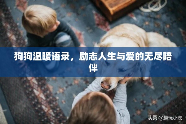 狗狗温暖语录，励志人生与爱的无尽陪伴