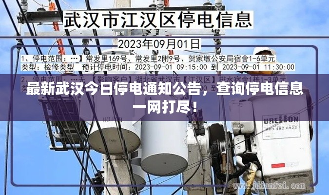 2025年5月20日