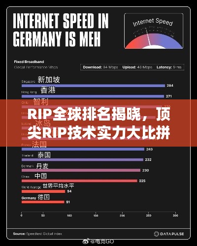 RIP全球排名揭晓，顶尖RIP技术实力大比拼！