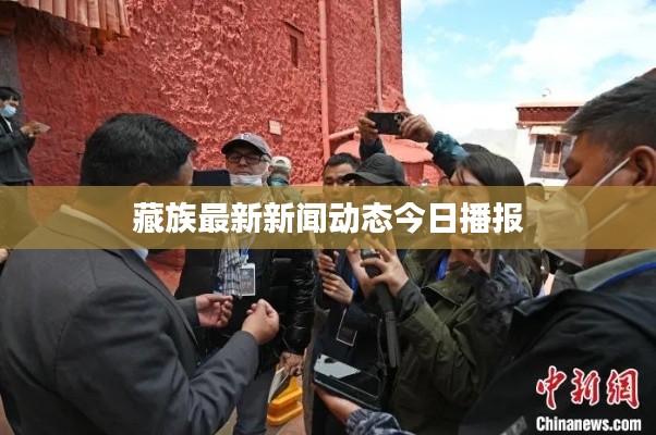 铁石心肠
