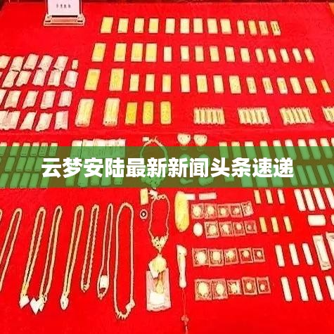 龙飞九五