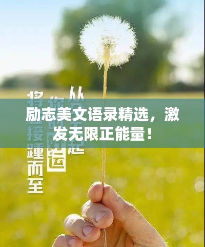 励志美文语录精选，激发无限正能量！