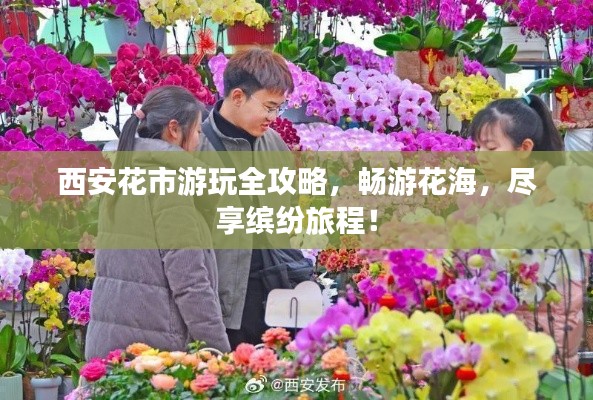 西安花市游玩全攻略，畅游花海，尽享缤纷旅程！