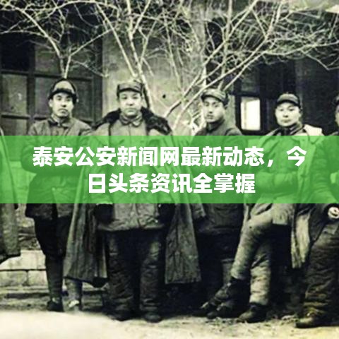 泰安公安新闻网最新动态，今日头条资讯全掌握